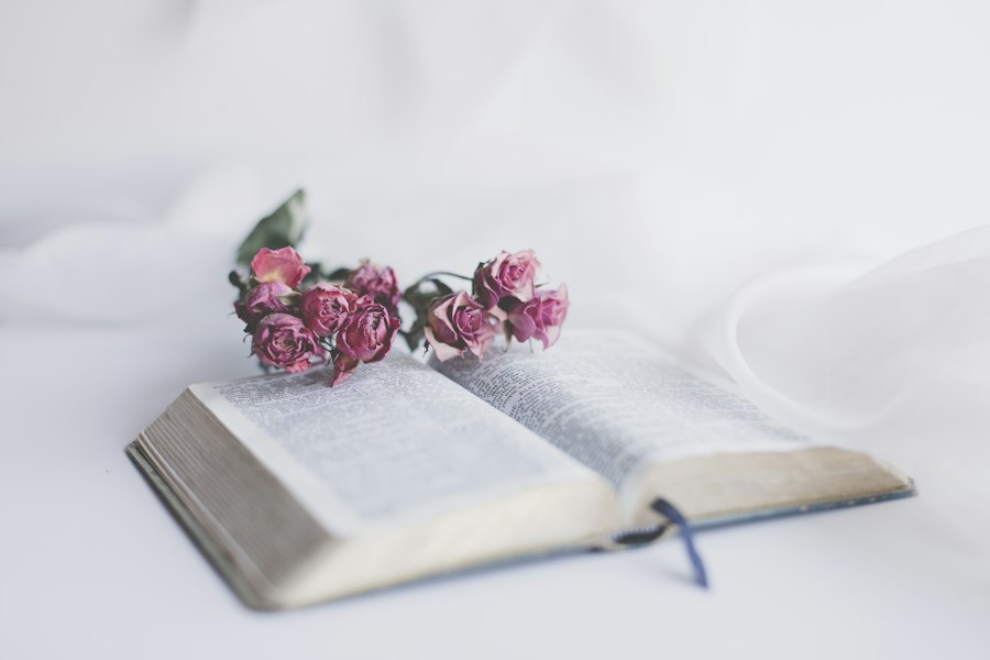 Photo biblical marriage advice